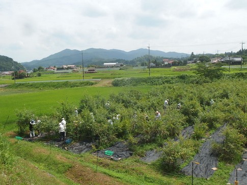 f:id:akinosato:20180728111042j:image