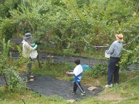 f:id:akinosato:20180819113406j:image