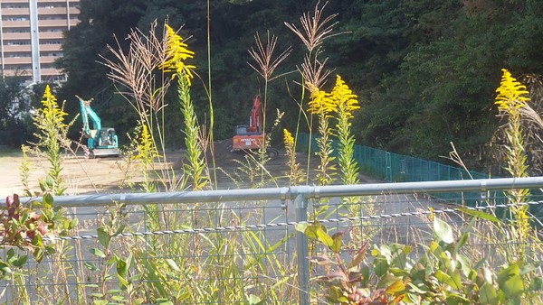 f:id:akinosato:20181016101055j:plain f:id:akinosato:20181016101055j:plain