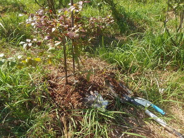 f:id:akinosato:20181017125032j:plain