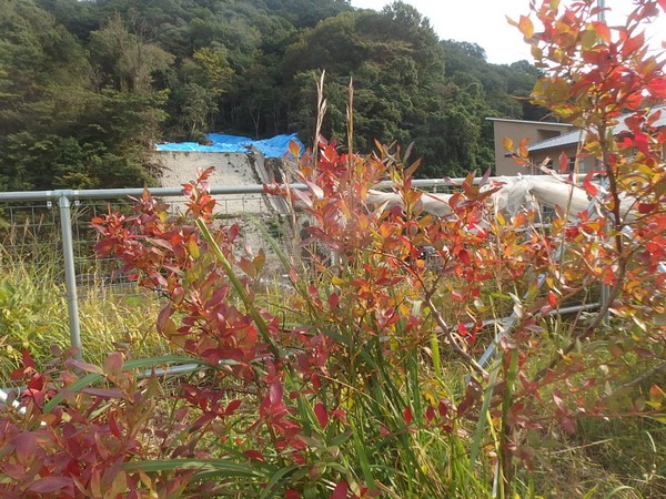 f:id:akinosato:20181017150915j:plain