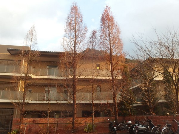 f:id:akinosato:20181217162149j:plain