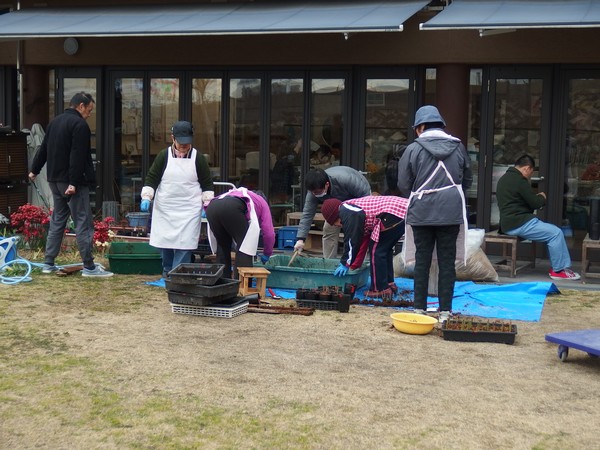 f:id:akinosato:20190215132453j:plain