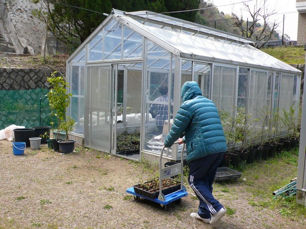 f:id:akinosato:20190408103018j:plain