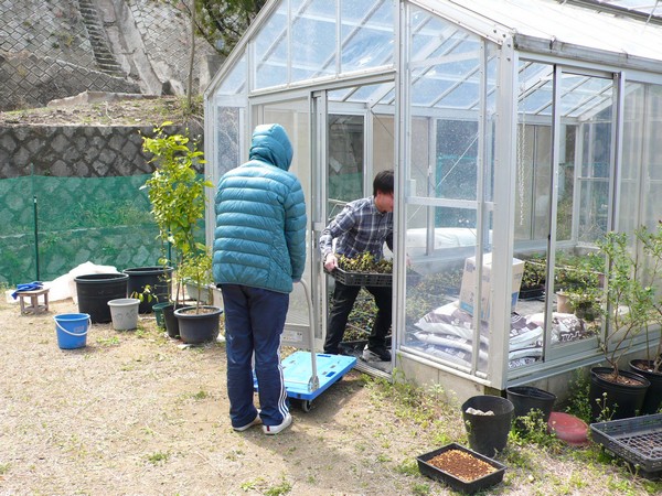 f:id:akinosato:20190408103031j:plain