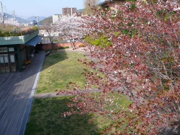 f:id:akinosato:20190408161337j:plain