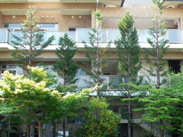 f:id:akinosato:20190523084645j:plain