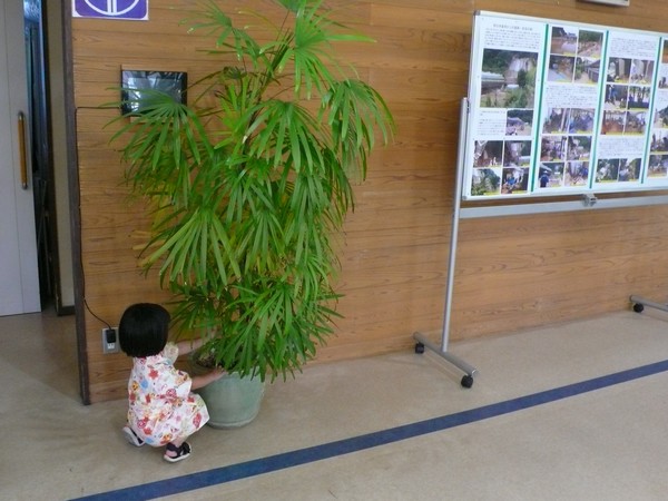 f:id:akinosato:20190727170755j:plain f:id:akinosato:20190727170755j:plain