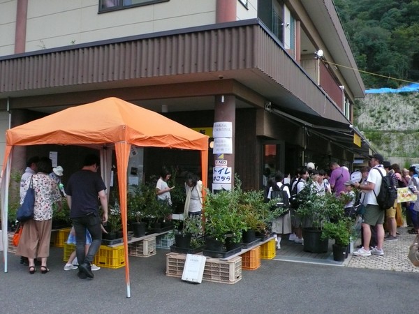 f:id:akinosato:20190727174451j:plain f:id:akinosato:20190727174451j:plain