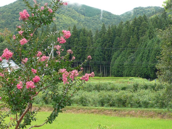 f:id:akinosato:20190820134403j:plain