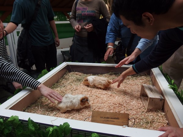 f:id:akinosato:20191026093222j:plain f:id:akinosato:20191026093222j:plain