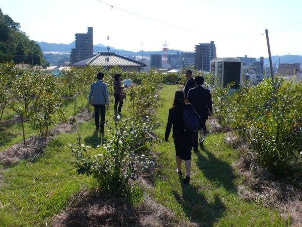 f:id:akinosato:20191029134401j:plain f:id:akinosato:20191029134401j:plain