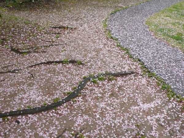 f:id:akinosato:20200413121506j:plain f:id:akinosato:20200413121506j:plain