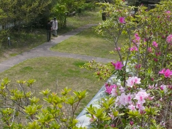 f:id:akinosato:20200415124126j:plain