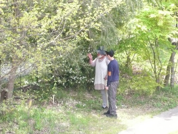 f:id:akinosato:20200415124138j:plain
