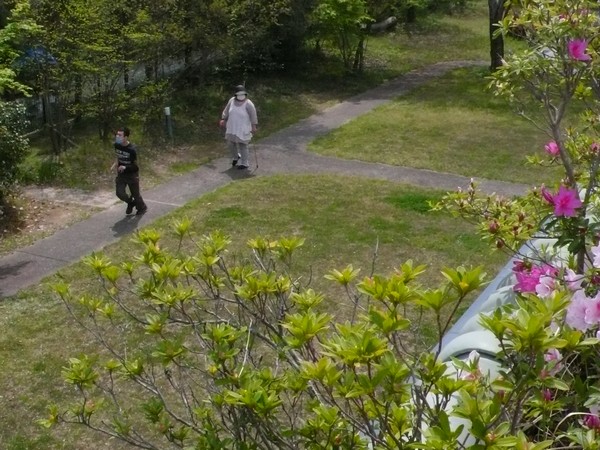 f:id:akinosato:20200415124156j:plain