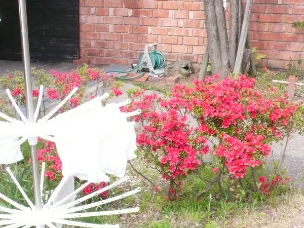 f:id:akinosato:20200415143957j:plain