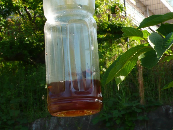 f:id:akinosato:20200513163029j:plain