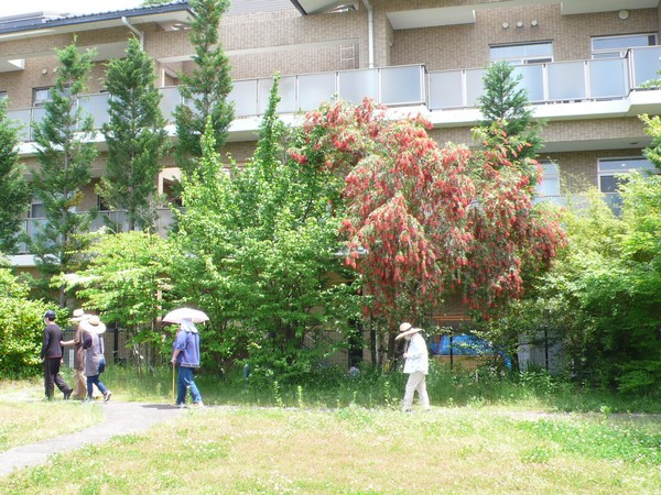 f:id:akinosato:20200522124947j:plain