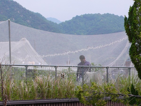 f:id:akinosato:20200527104413j:plain f:id:akinosato:20200527104413j:plain