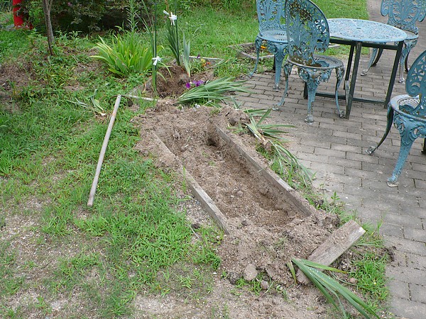 f:id:akinosato:20200807100511j:plain