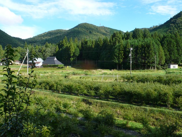 f:id:akinosato:20200913160854j:plain