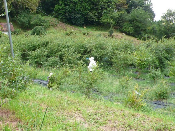 f:id:akinosato:20200913214652j:plain