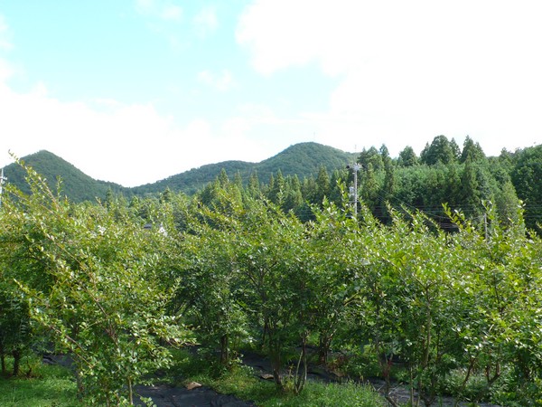f:id:akinosato:20200926133222j:plain
