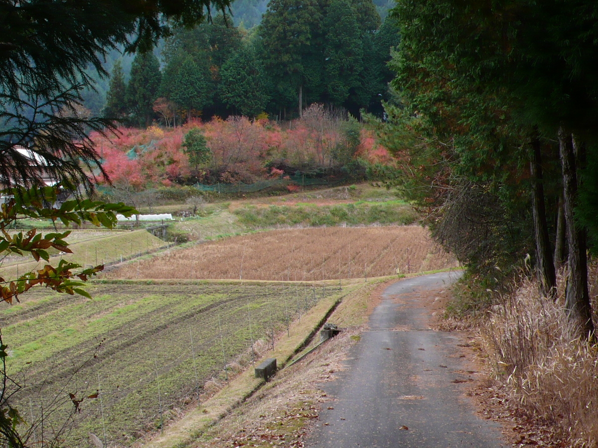 f:id:akinosato:20201122114906j:plain
