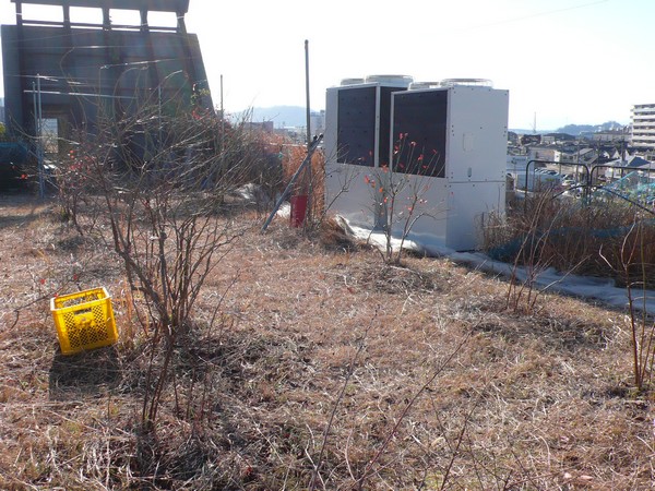 f:id:akinosato:20210202152654j:plain