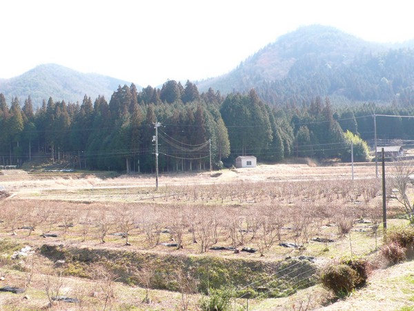 f:id:akinosato:20210221132056j:plain