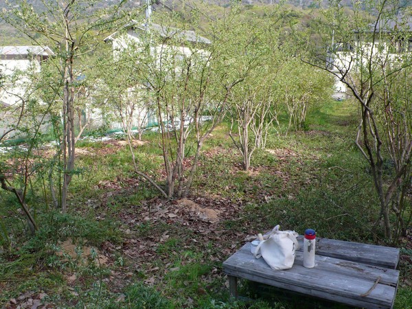 f:id:akinosato:20210401160901j:plain