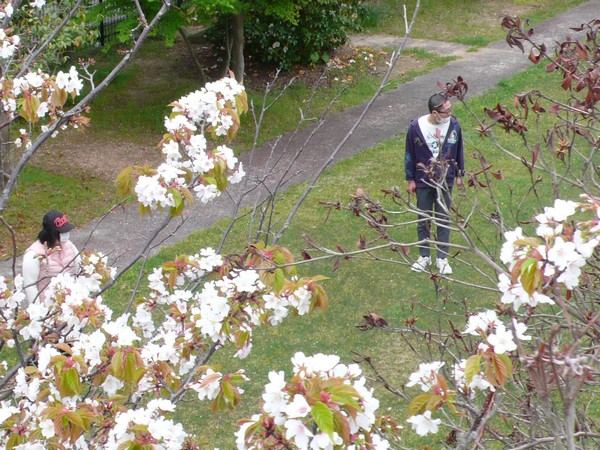 f:id:akinosato:20210412123749j:plain