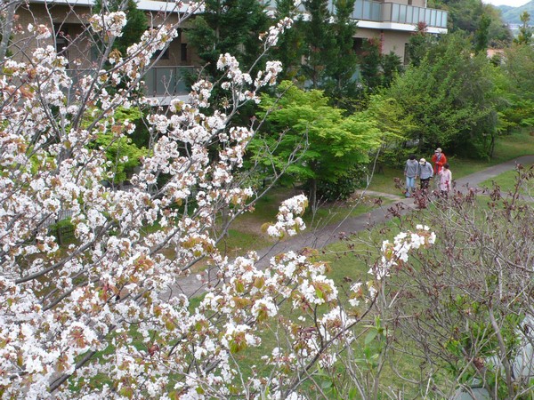 f:id:akinosato:20210412125241j:plain