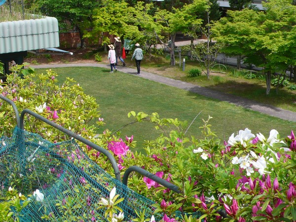 f:id:akinosato:20210423125951j:plain