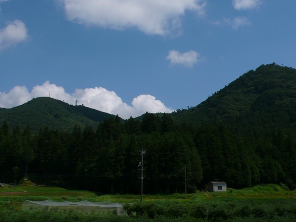 f:id:akinosato:20210711141707j:plain