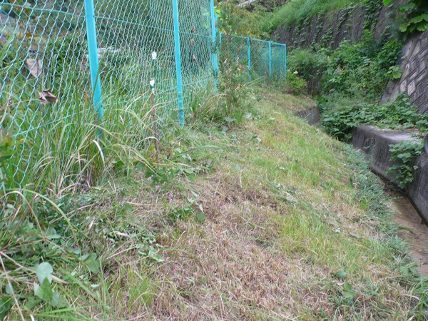 f:id:akinosato:20210908101409j:plain