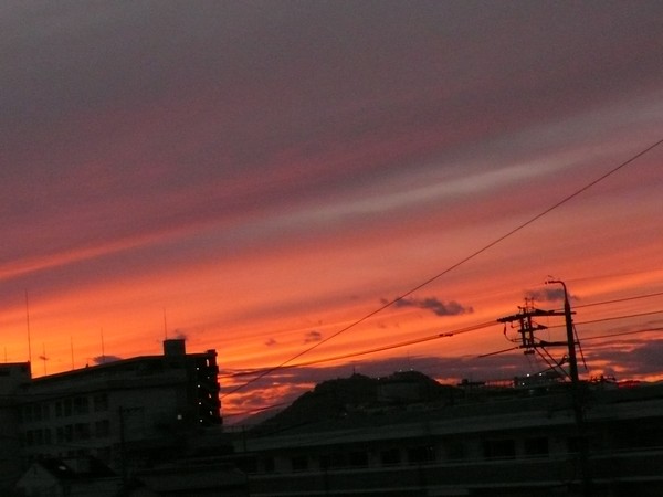f:id:akinosato:20211018175435j:plain