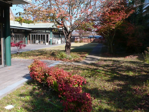 f:id:akinosato:20211119114623j:plain