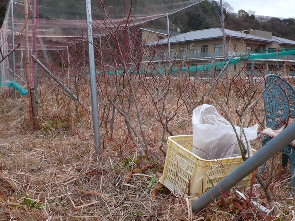 f:id:akinosato:20220121123600j:plain