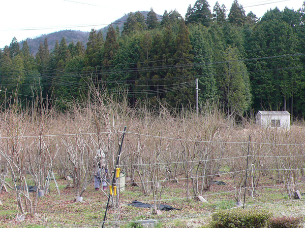 f:id:akinosato:20220320201428j:plain