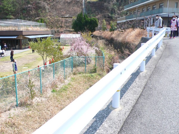 f:id:akinosato:20220324130055j:plain