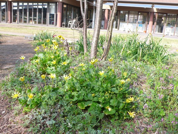 f:id:akinosato:20220324161118j:plain