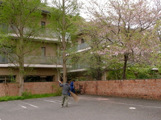 エントリ画像