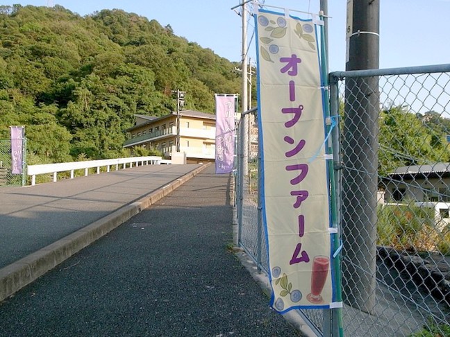エントリ画像