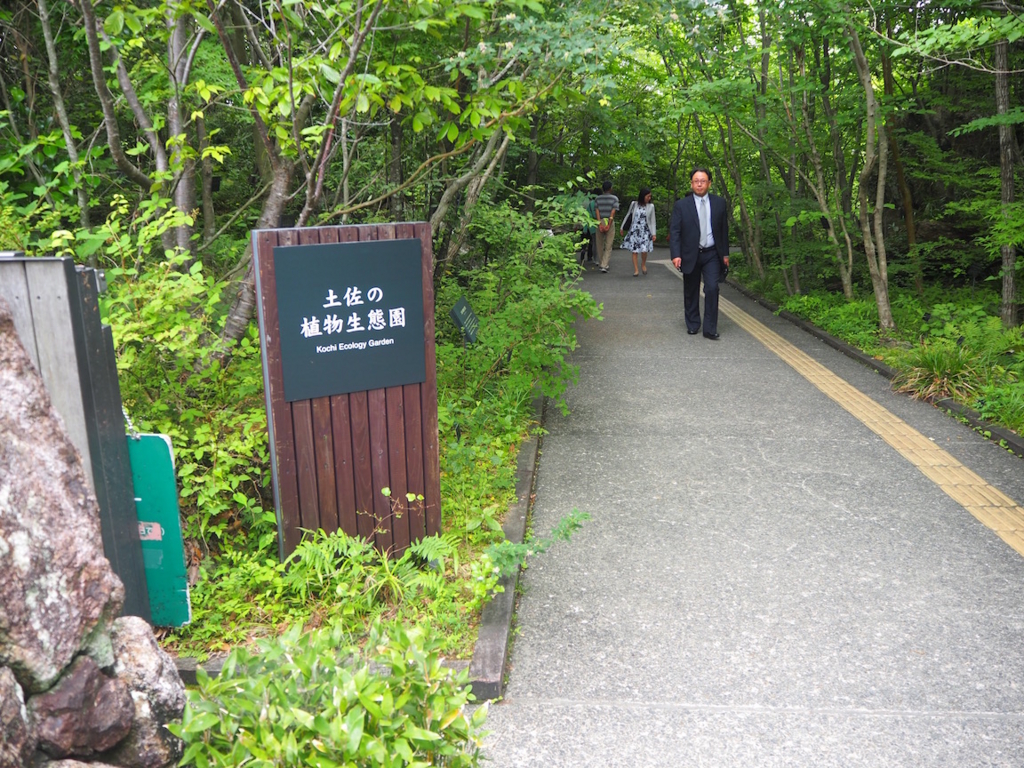 f:id:akio130:20160618081020j:plain