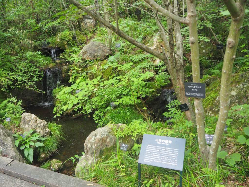 f:id:akio130:20160618081229j:plain