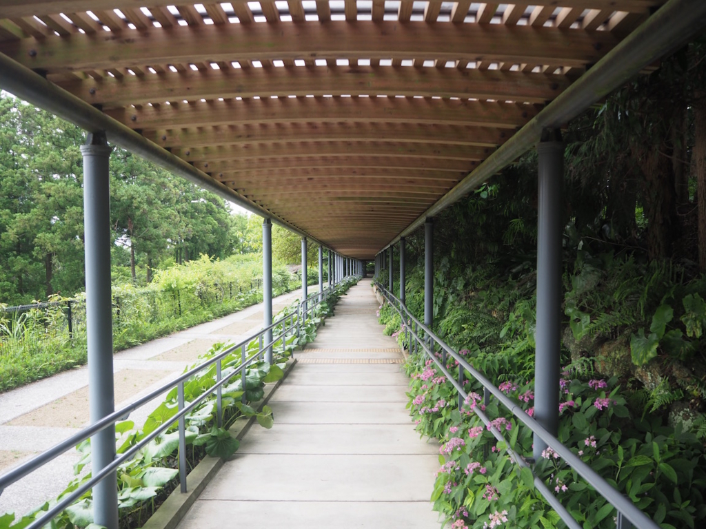 f:id:akio130:20160618082926j:plain