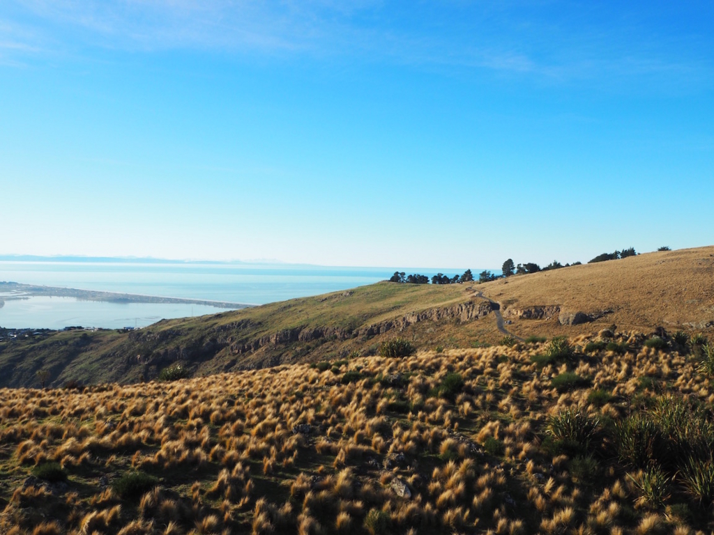 f:id:akio130:20160702181248j:plain f:id:akio130:20160702181248j:plain