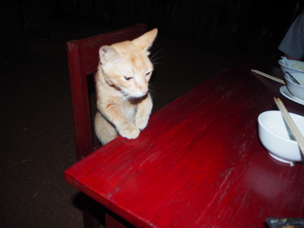 f:id:akio130:20160926000905j:plain f:id:akio130:20160926000905j:plain